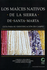 Cubierta para Los maíces nativos de la sierra de Santa Marta: Guía para su identificación en campo