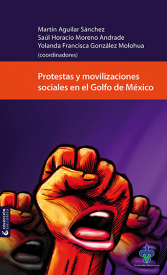 Cubierta para Protestas y movilizaciones sociales en el Golfo de México