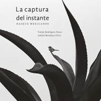 Cubierta para La captura del instante: haikus mexicanos