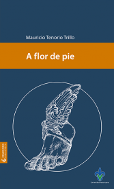Cover for A flor de pie