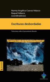 Cubierta para Escrituras desbordadas: variaciones sobre el pensamiento literario