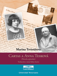 Cover for Cartas a Anna Tesková: (Novela epistolar)