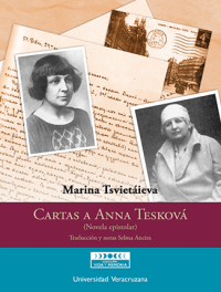 Cubierta para Cartas a Anna Tesková: (Novela epistolar)