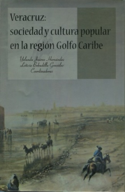 Cubierta para Veracruz: sociedad y cultura popular en la región Golfo Caribe