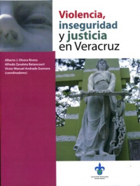 Cubierta para Violencia, inseguridad y justicia en Veracruz