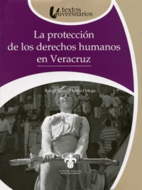 Cubierta para La protección de los derechos humanos en Veracruz