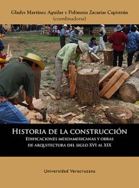 Cubierta para Historia de la construcción. Edificaciones mesoamericanas y obras de arquitectura del siglo XVI al XIX