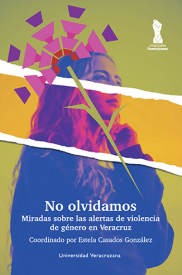 Cubierta para No olvidamos: Miradas sobre las alertas de género en Veracruz