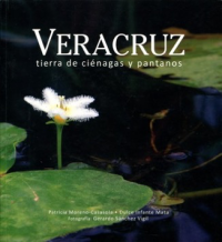 Cubierta para Veracruz. Tierra de ciénegas y pantanos