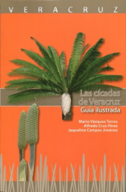 Cubierta para Las cícadas de Veracruz : guía ilustrada: Guía ilustrada 